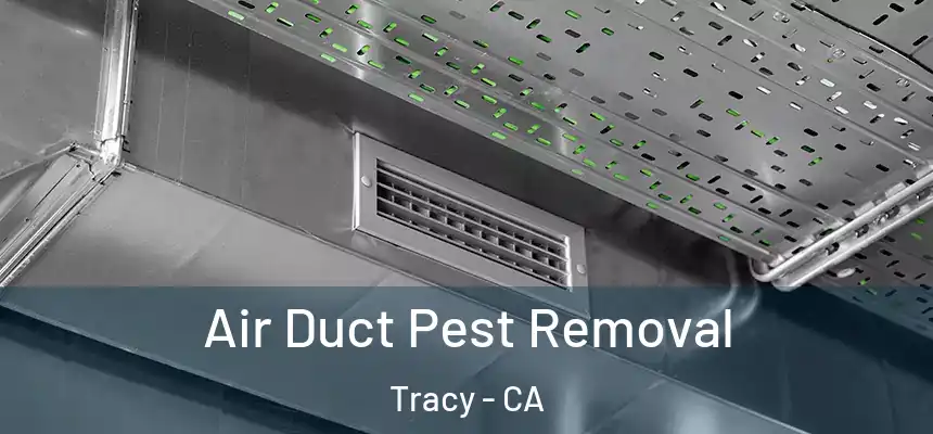 Air Duct Pest Removal Tracy - CA