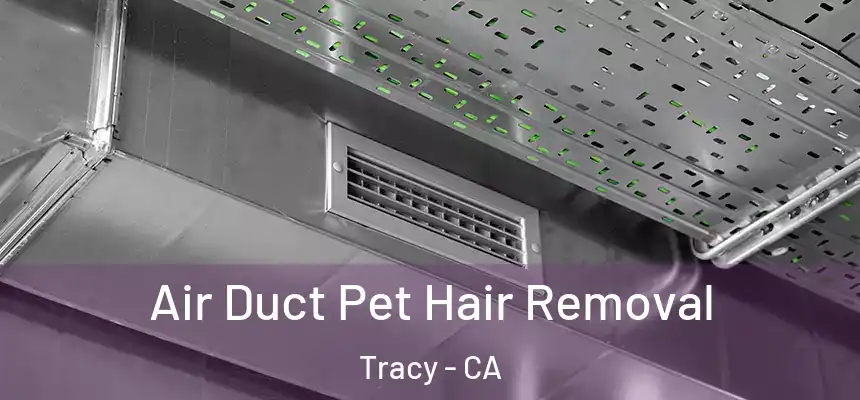 Air Duct Pet Hair Removal Tracy - CA