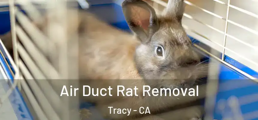 Air Duct Rat Removal Tracy - CA
