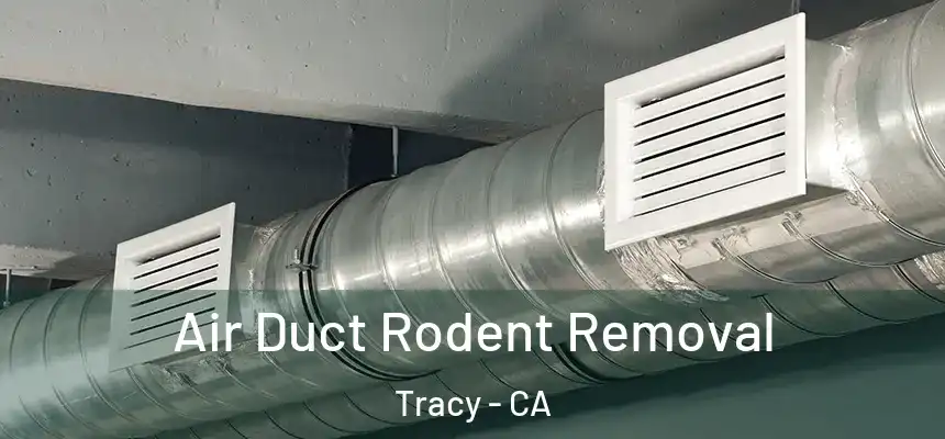 Air Duct Rodent Removal Tracy - CA