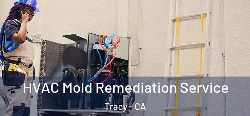 HVAC Mold Remediation Service Tracy - CA
