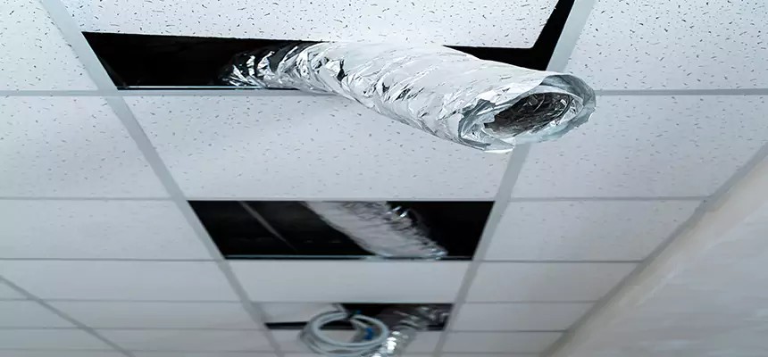 Our Air Duct Pet Hair Removal Services in Tracy, CA