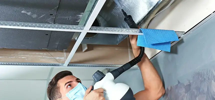 Our Air Duct Rodent Removal Services in Tracy, CA