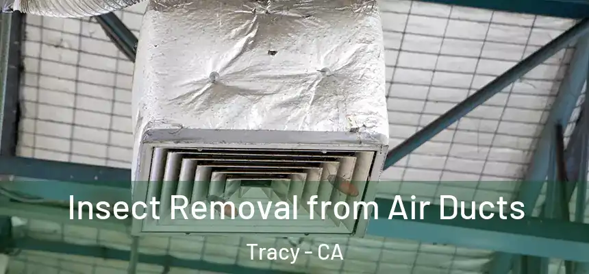 Insect Removal from Air Ducts Tracy - CA