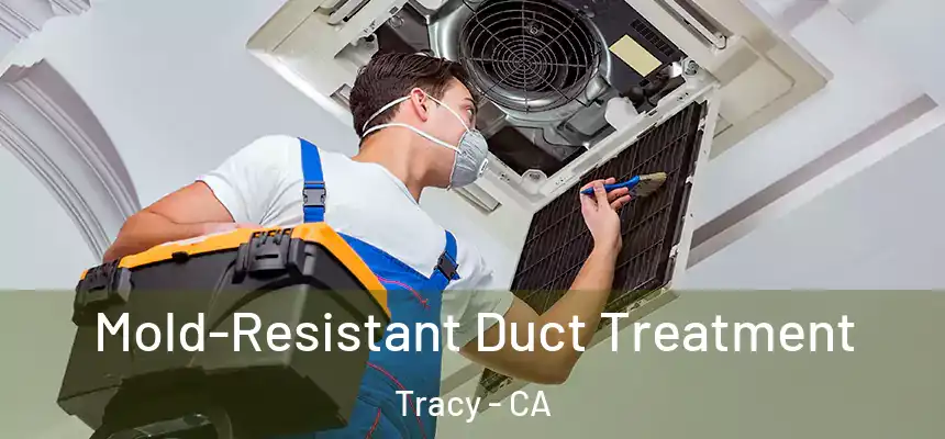 Mold-Resistant Duct Treatment Tracy - CA