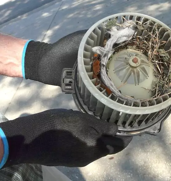 About Air Duct Rat Removal in Tracy, CA