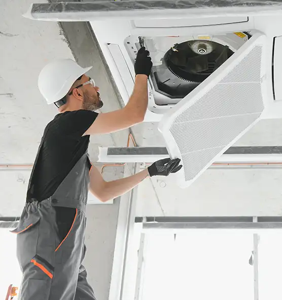 About Air Duct Rodent Removal in Tracy, CA