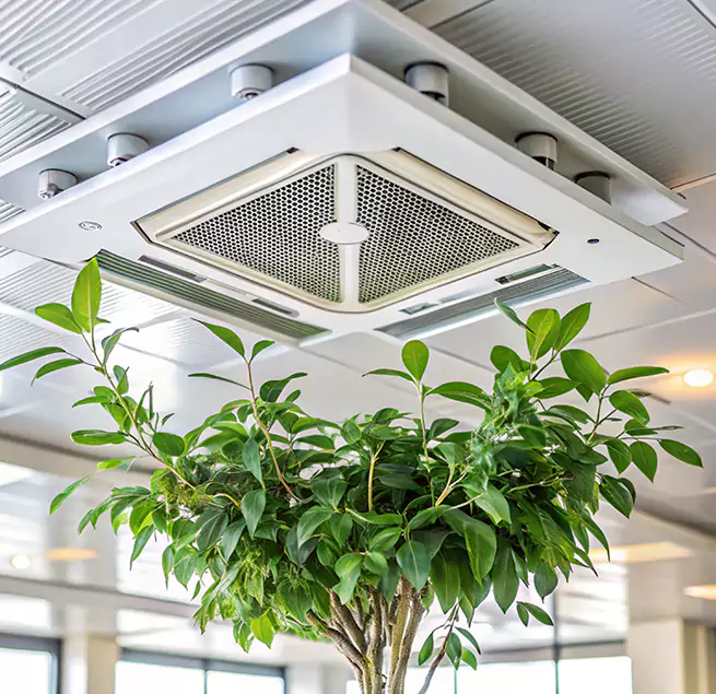 Why Homeowners & Businesses Trust Us in Tracy, CA?